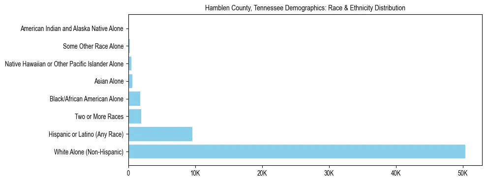 Race and Ethnicity Distribution Chart for Hamblen County, Tennessee