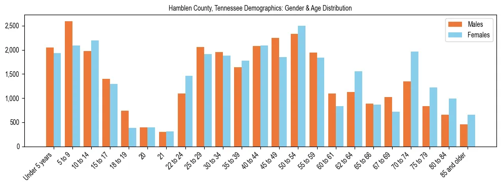 Bar chart showing the population distribution of Hamblen County, Tennessee by age group and gender, based on 2023 ACS data.