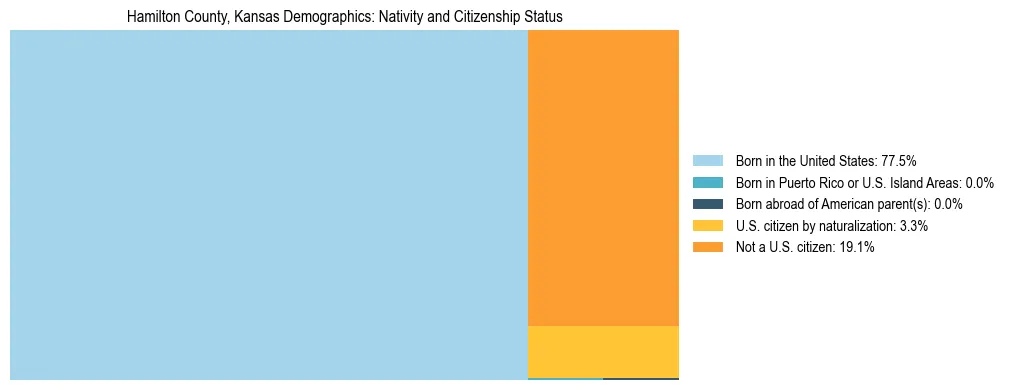 Treemap showing the population distribution by nativity and citizenship status in Hamilton County, Kansas based on U.S. Census data.