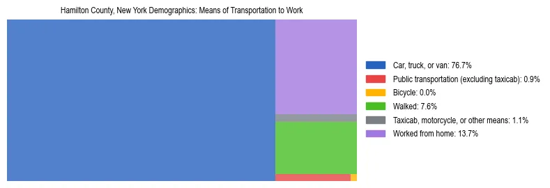 Treemap showing means of transportation to work distribution in Hamilton County, New York.