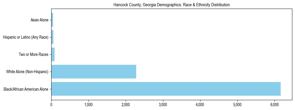 Race and Ethnicity Distribution Chart for Hancock County, Georgia