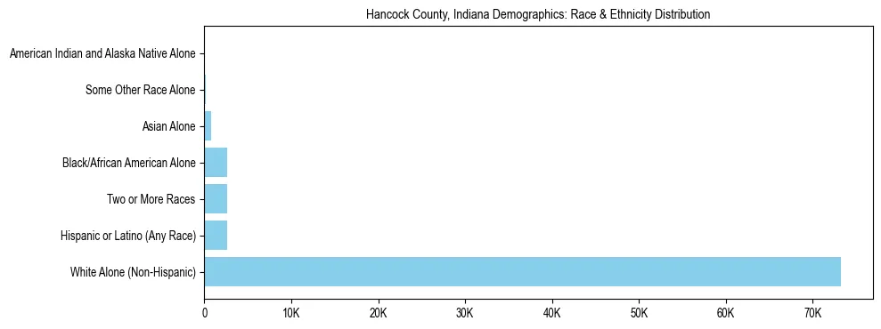 Race and Ethnicity Distribution Chart for Hancock County, Indiana