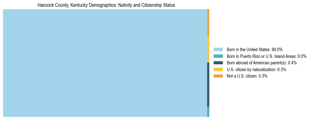 Treemap showing the population distribution by nativity and citizenship status in Hancock County, Kentucky based on U.S. Census data.