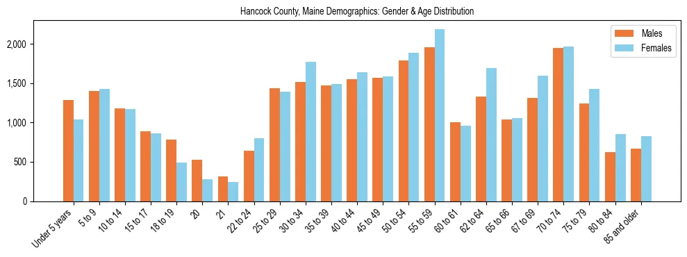 Population pyramid for Hancock County, Maine showing male vs female age distribution based on 2023 ACS data.