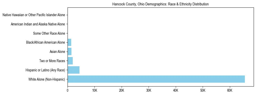 Race and Ethnicity Distribution Chart for Hancock County, Ohio