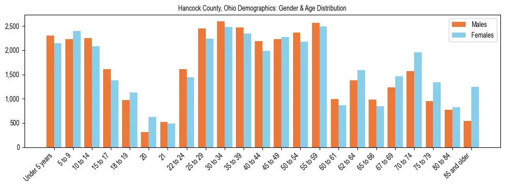 Bar chart showing the population distribution of Hancock County, Ohio by age group and gender, based on 2023 ACS data.