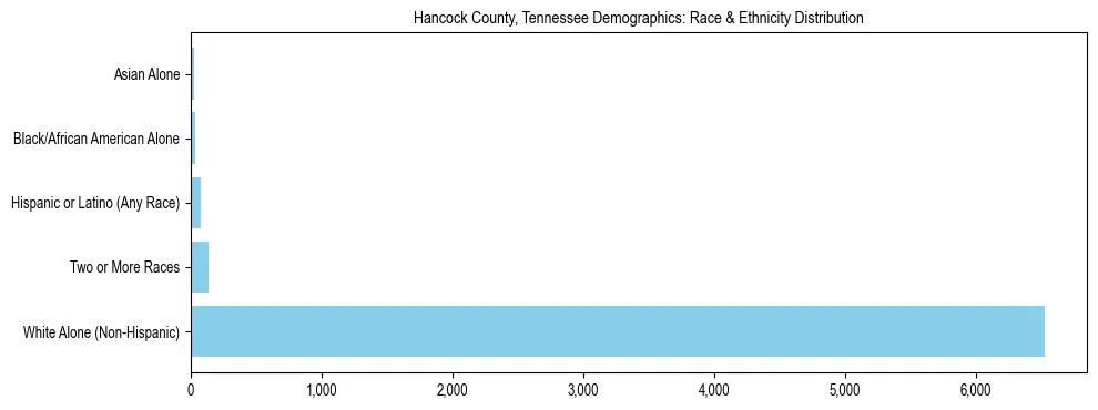 Race and Ethnicity Distribution Chart for Hancock County, Tennessee