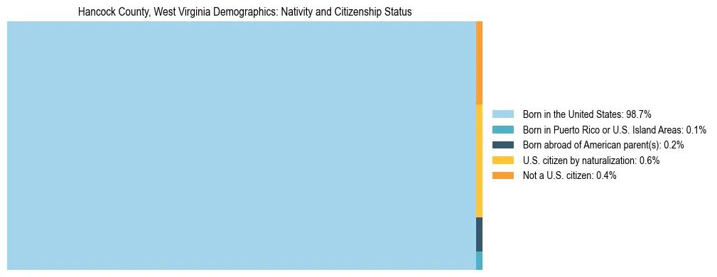 Treemap showing the population distribution by nativity and citizenship status in Hancock County, West Virginia based on U.S. Census data.