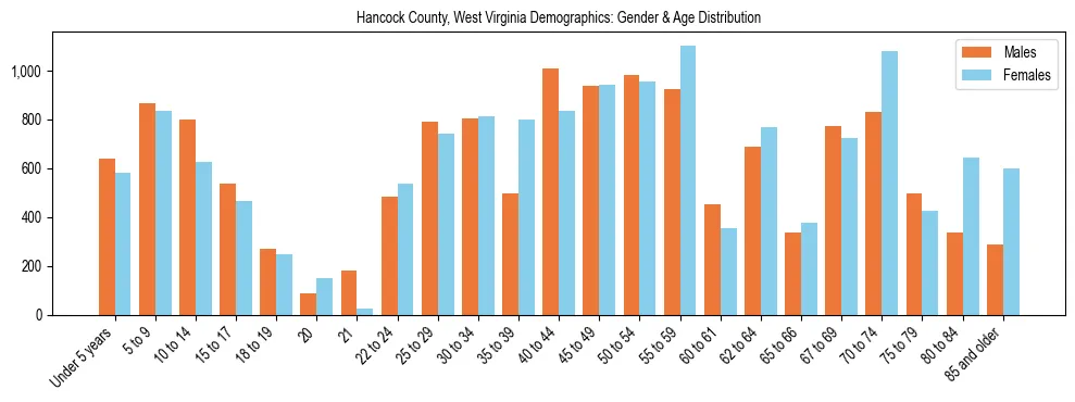 Bar chart showing the population distribution of Hancock County, West Virginia by age group and gender, based on 2023 ACS data.