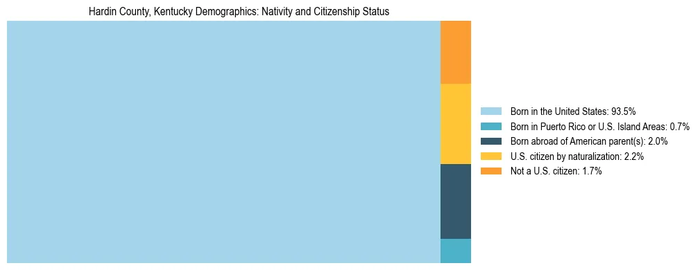Treemap showing the population distribution by nativity and citizenship status in Hardin County, Kentucky based on U.S. Census data.