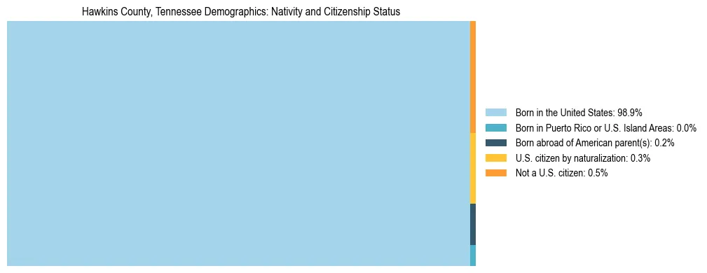 Treemap showing the population distribution by nativity and citizenship status in Hawkins County, Tennessee based on U.S. Census data.