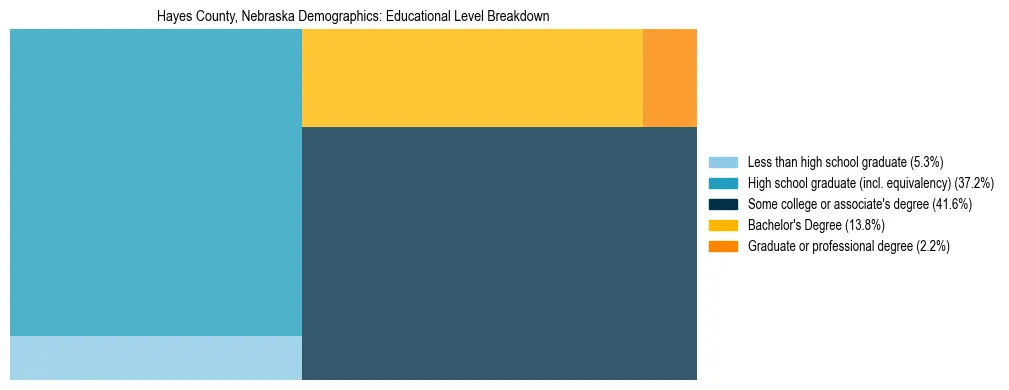 Treemap chart illustrating the educational attainment breakdown for population 25 years and over in Hayes County, Nebraska.
