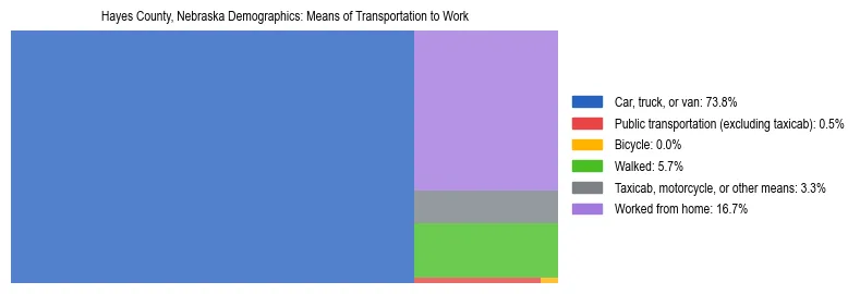 Treemap showing means of transportation to work distribution in Hayes County, Nebraska.