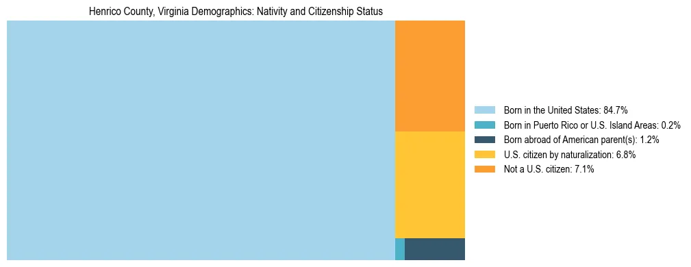 Treemap showing the population distribution by nativity and citizenship status in Henrico County, Virginia based on U.S. Census data.