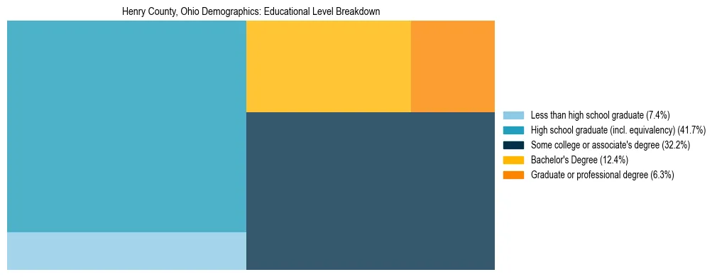Treemap chart illustrating the educational attainment breakdown for population 25 years and over in Henry County, Ohio.