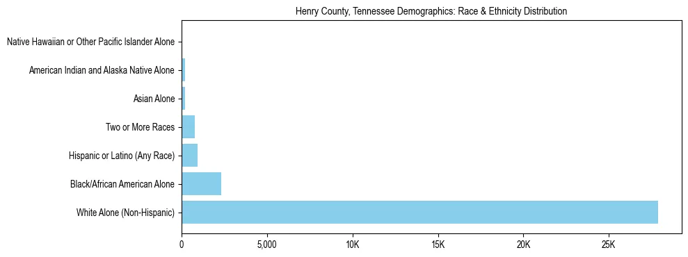Race and Ethnicity Distribution Chart for Henry County, Tennessee