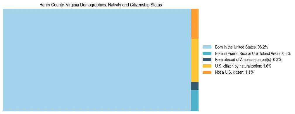 Treemap showing the population distribution by nativity and citizenship status in Henry County, Virginia based on U.S. Census data.