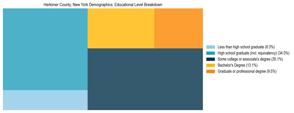 Treemap chart illustrating the educational attainment breakdown for population 25 years and over in Herkimer County, New York.