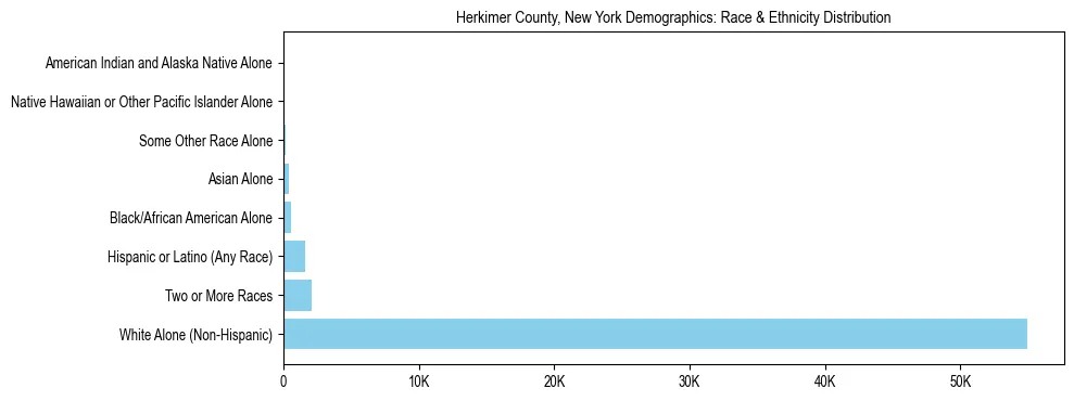 Race and Ethnicity Distribution Chart for Herkimer County, New York