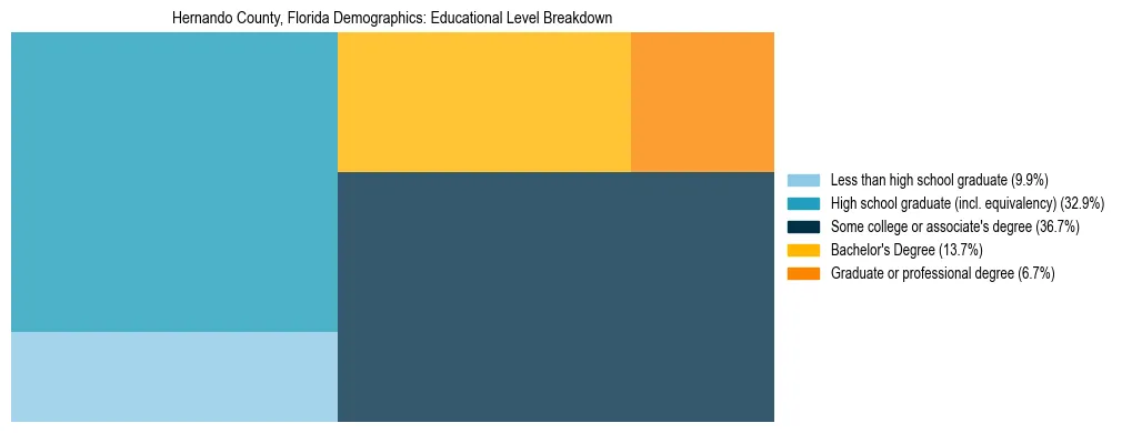 Treemap chart illustrating the educational attainment breakdown for population 25 years and over in Hernando County, Florida.