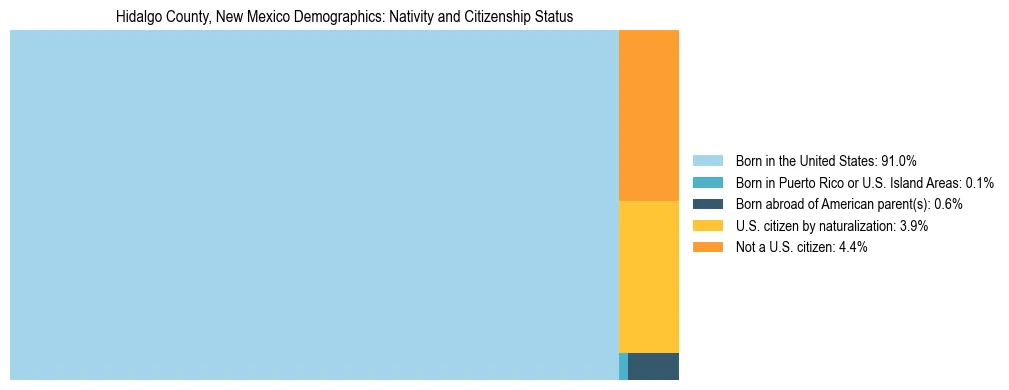 Treemap showing the population distribution by nativity and citizenship status in Hidalgo County, New Mexico based on U.S. Census data.