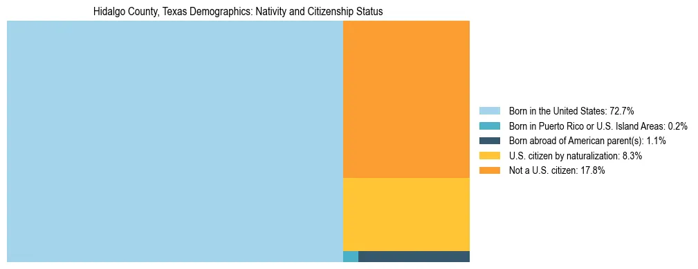Treemap showing the population distribution by nativity and citizenship status in Hidalgo County, Texas based on U.S. Census data.