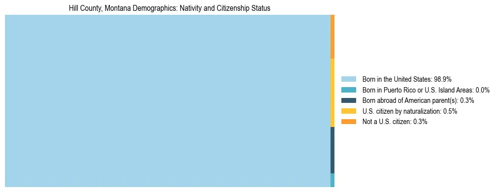 Treemap showing the population distribution by nativity and citizenship status in Hill County, Montana based on U.S. Census data.