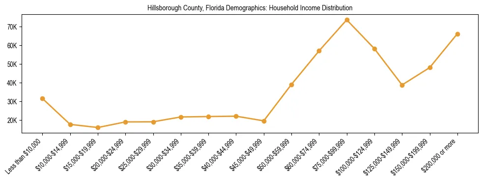 Horizontal bar chart showing household income distribution in Hillsborough County, Florida.