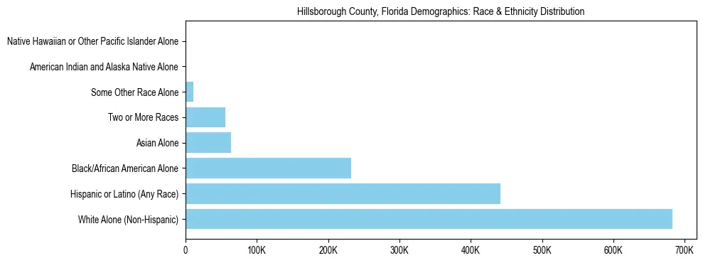 Race and Ethnicity Distribution Chart for Hillsborough County, Florida