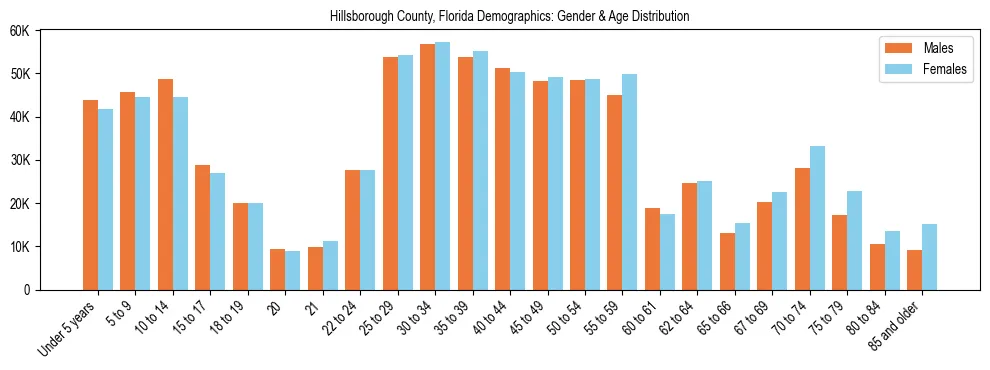 Bar chart showing the population distribution of Hillsborough County, Florida by age group and gender, based on 2023 ACS data.