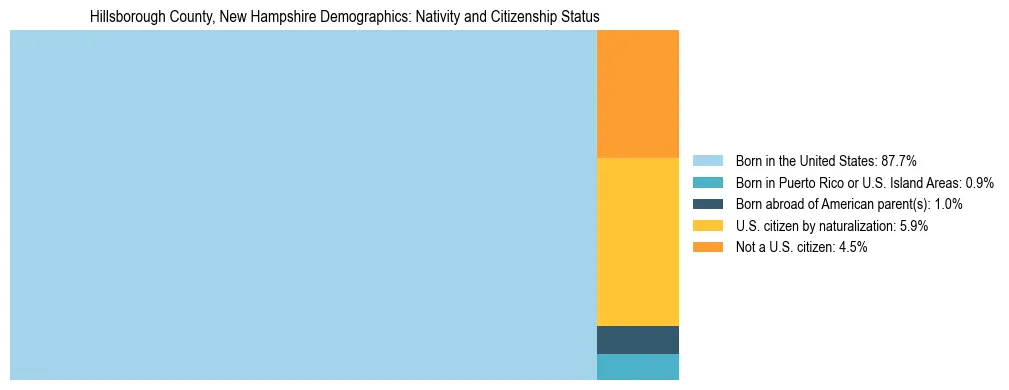 Treemap showing the population distribution by nativity and citizenship status in Hillsborough County, New Hampshire based on U.S. Census data.