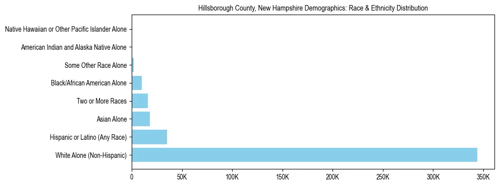 Race and Ethnicity Distribution Chart for Hillsborough County, New Hampshire