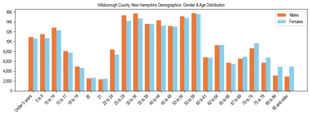 Bar chart showing the population distribution of Hillsborough County, New Hampshire by age group and gender, based on 2023 ACS data.