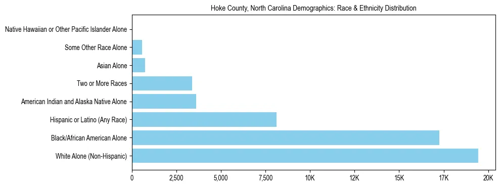 Race and Ethnicity Distribution Chart for Hoke County, North Carolina