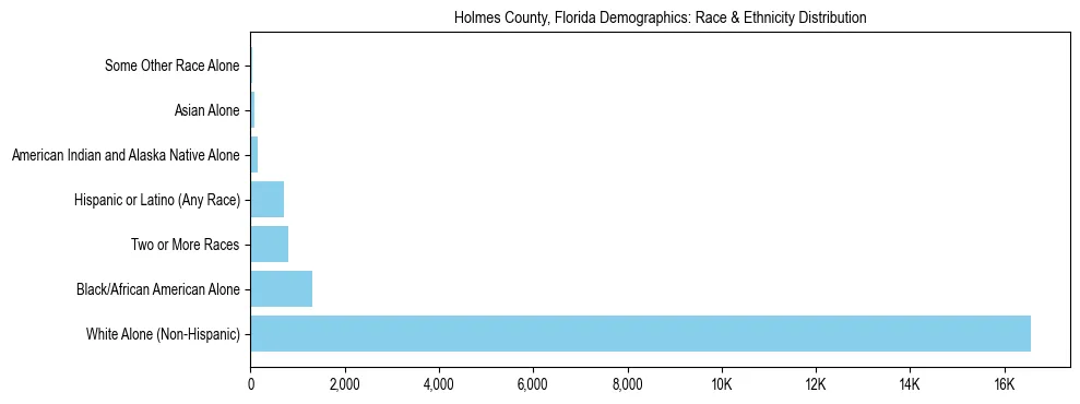 Race and Ethnicity Distribution Chart for Holmes County, Florida