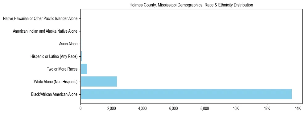 Race and Ethnicity Distribution Chart for Holmes County, Mississippi