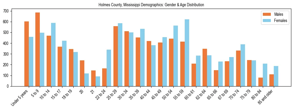 Bar chart showing the population distribution of Holmes County, Mississippi by age group and gender, based on 2023 ACS data.