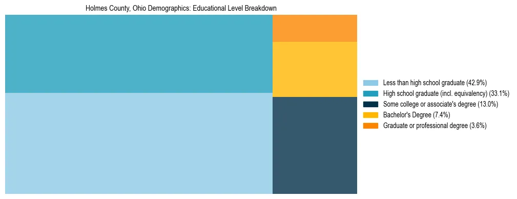 Treemap chart illustrating the educational attainment breakdown for population 25 years and over in Holmes County, Ohio.