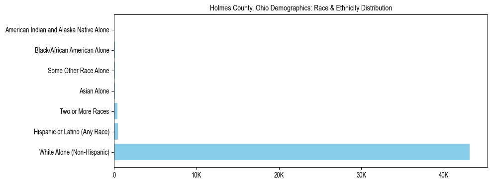 Race and Ethnicity Distribution Chart for Holmes County, Ohio