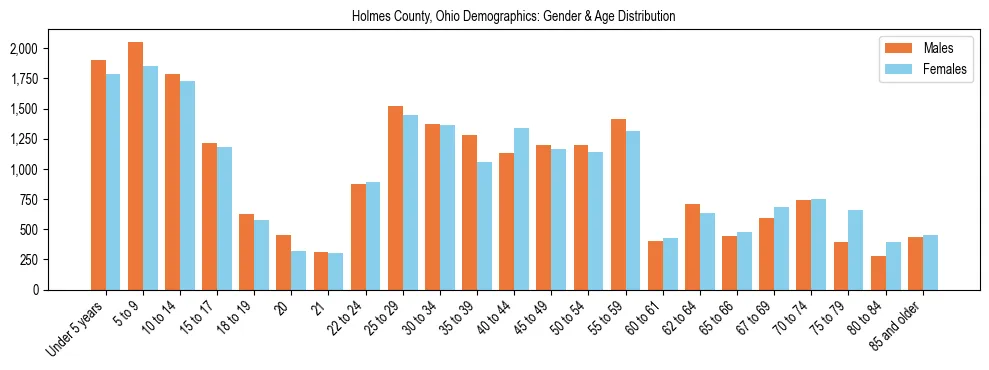 Bar chart showing the population distribution of Holmes County, Ohio by age group and gender, based on 2023 ACS data.