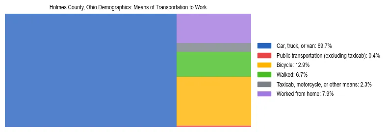 Treemap showing means of transportation to work distribution in Holmes County, Ohio.
