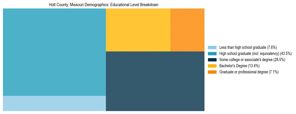 Treemap chart illustrating the educational attainment breakdown for population 25 years and over in Holt County, Missouri.