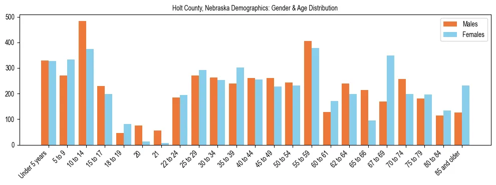 Bar chart showing the population distribution of Holt County, Nebraska by age group and gender, based on 2023 ACS data.