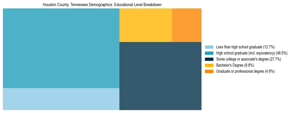 Treemap chart illustrating the educational attainment breakdown for population 25 years and over in Houston County, Tennessee.