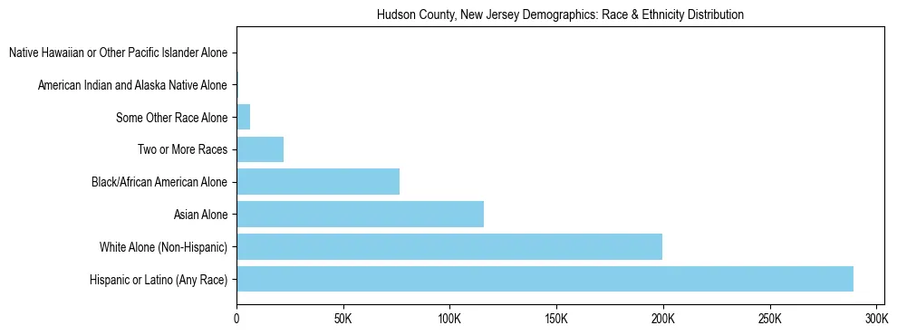 Race and Ethnicity Distribution Chart for Hudson County, New Jersey