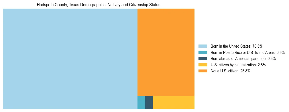Treemap showing the population distribution by nativity and citizenship status in Hudspeth County, Texas based on U.S. Census data.