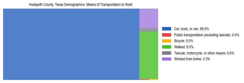 Treemap showing means of transportation to work distribution in Hudspeth County, Texas.