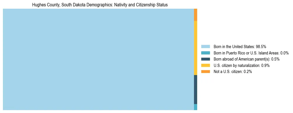 Treemap showing the population distribution by nativity and citizenship status in Hughes County, South Dakota based on U.S. Census data.