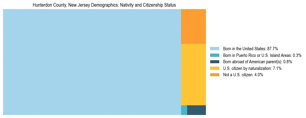 Treemap showing the population distribution by nativity and citizenship status in Hunterdon County, New Jersey based on U.S. Census data.