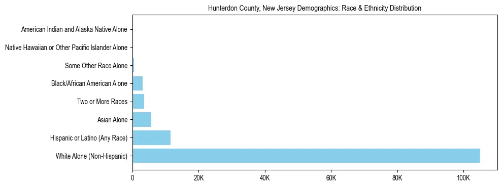 Race and Ethnicity Distribution Chart for Hunterdon County, New Jersey